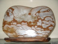 S1051030